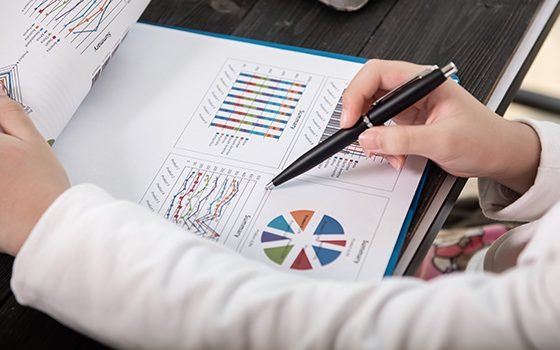 Feasibility Studies & Sector Reports