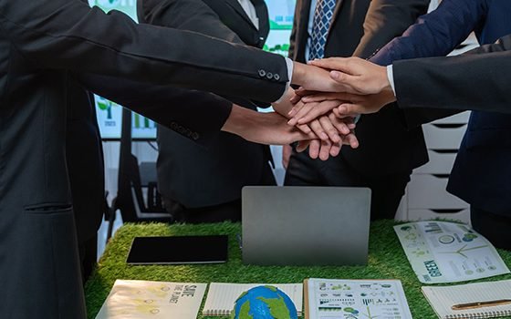 Strategic Partnerships & Ecosystem Development